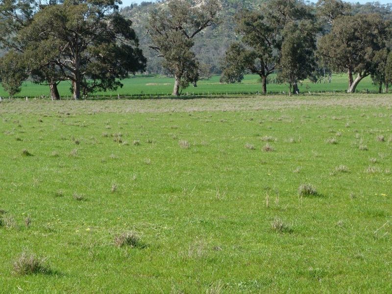 1926 Glenrowan Boweya Road Road, Mt Bruno, Taminick VIC 3675