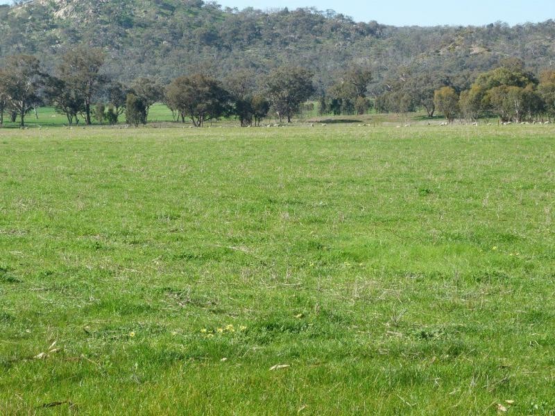 1926 Glenrowan Boweya Road Road, Mt Bruno, Taminick VIC 3675