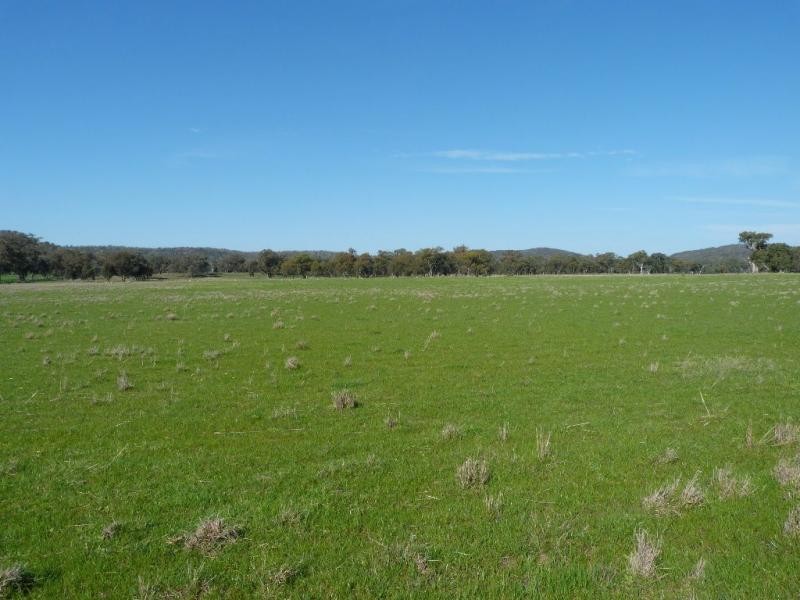 1926 Glenrowan Boweya Road Road, Mt Bruno, Taminick VIC 3675