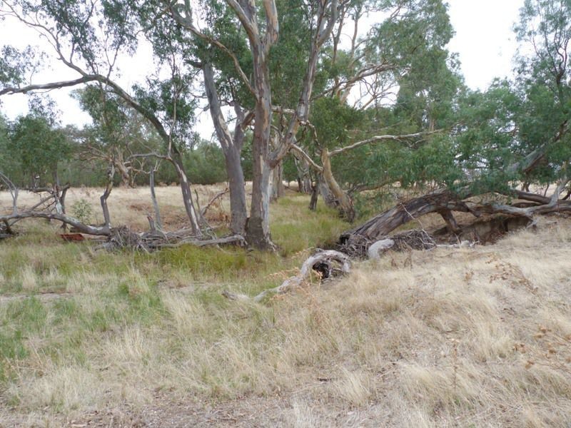 1926 Glenrowan Boweya Road Road, Mt Bruno, Taminick VIC 3675