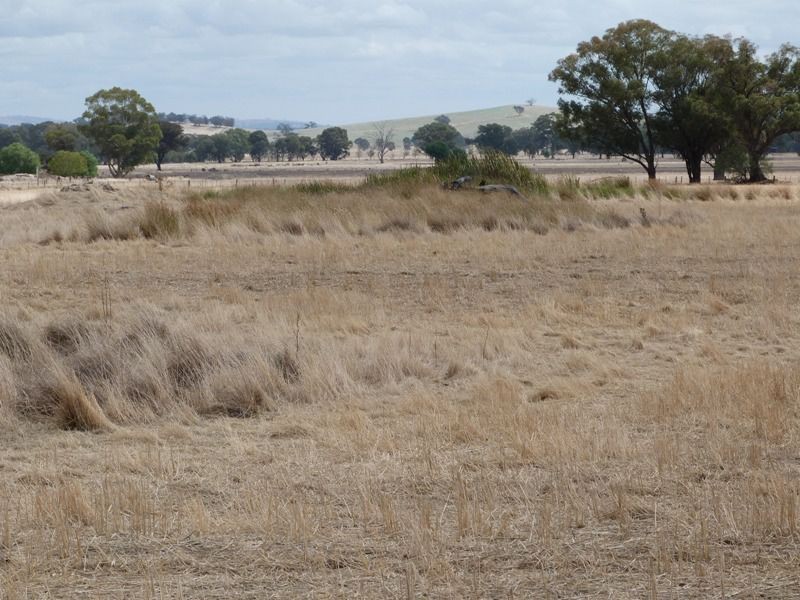 1926 Glenrowan Boweya Road Road, Mt Bruno, Taminick VIC 3675