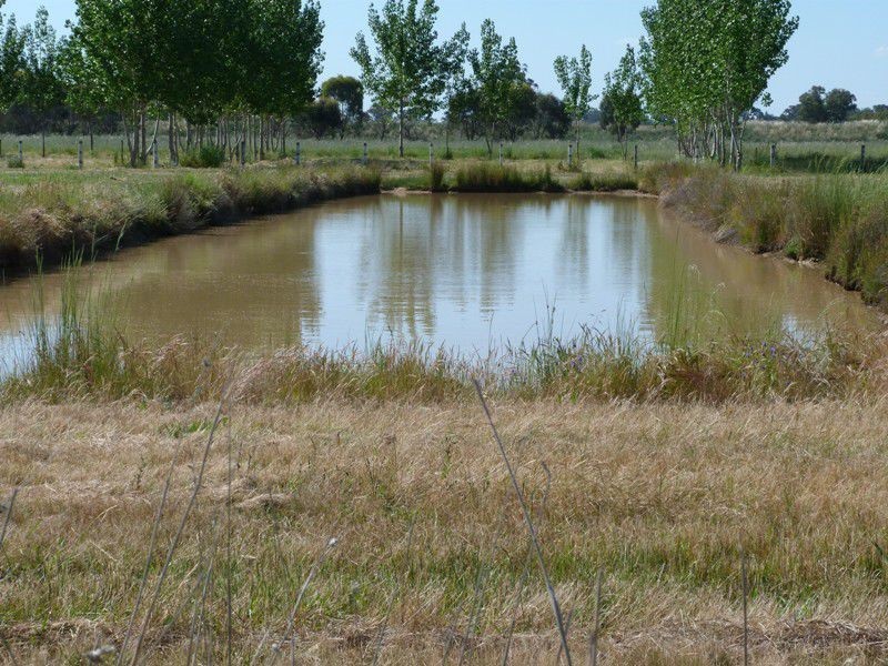 5617 Shepparton Road, Benalla VIC 3672