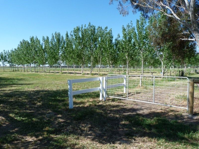 5617 Shepparton Road, Benalla VIC 3672