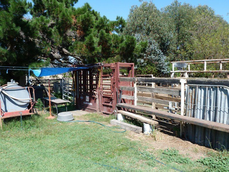1528 Kilfeera Road, Molyullah, Benalla VIC 3672