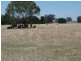 1528 Kilfeera Road, Molyullah, Benalla VIC 3672