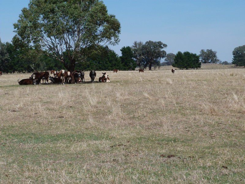 1528 Kilfeera Road, Molyullah, Benalla VIC 3672