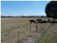 1528 Kilfeera Road, Molyullah, Benalla VIC 3672