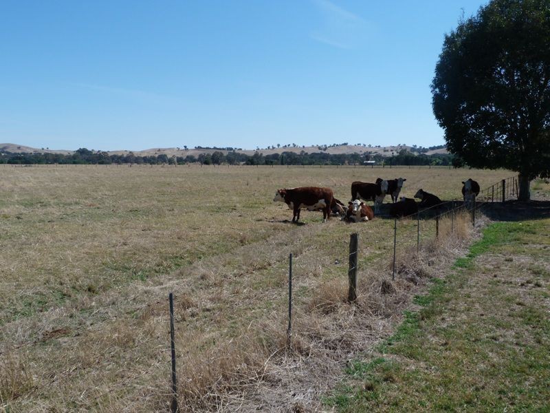 1528 Kilfeera Road, Molyullah, Benalla VIC 3672