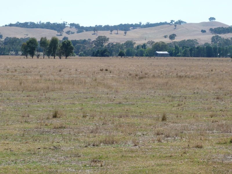 1528 Kilfeera Road, Molyullah, Benalla VIC 3672