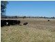 1528 Kilfeera Road, Molyullah, Benalla VIC 3672