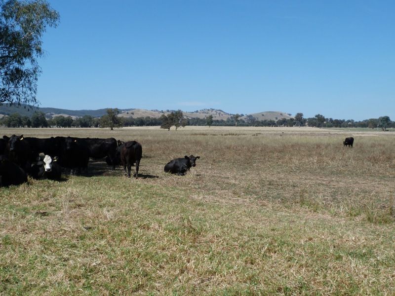 1528 Kilfeera Road, Molyullah, Benalla VIC 3672