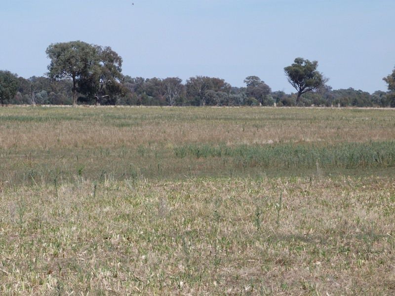 1528 Kilfeera Road, Molyullah, Benalla VIC 3672