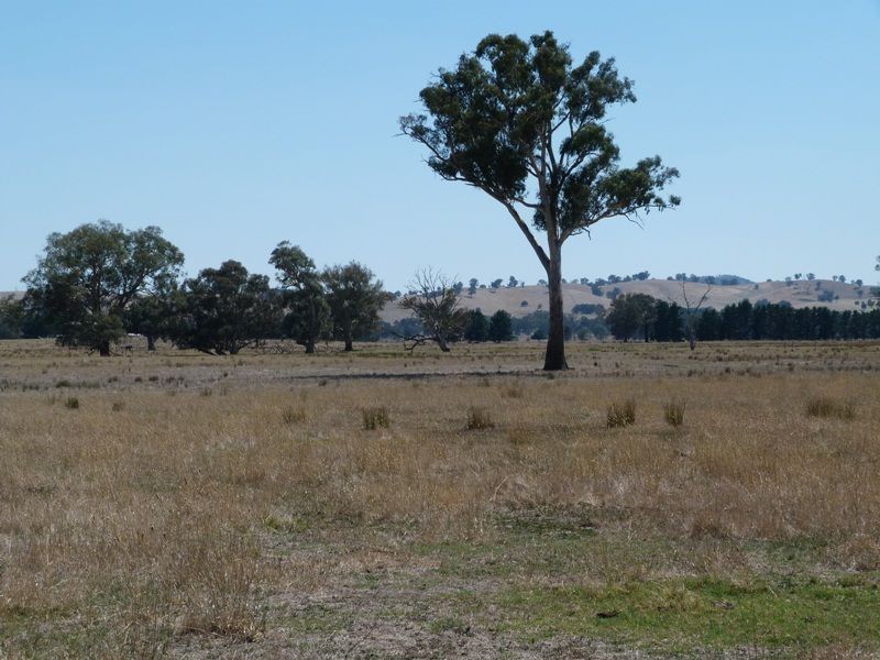 1528 Kilfeera Road, Molyullah, Benalla VIC 3672