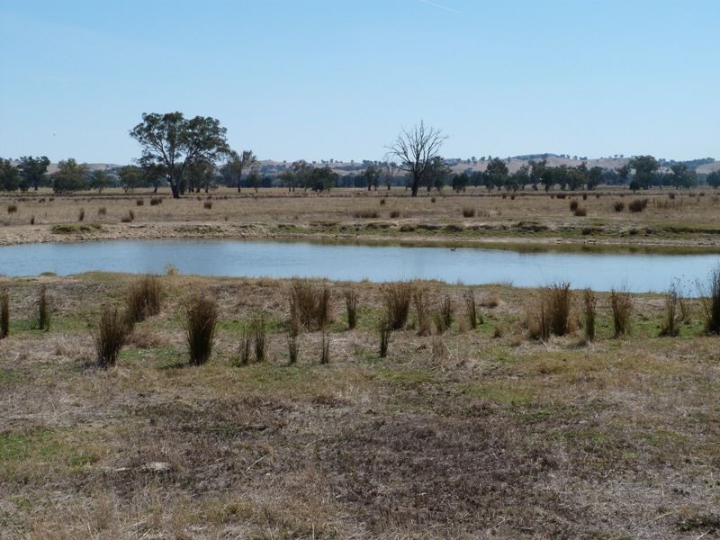 1528 Kilfeera Road, Molyullah, Benalla VIC 3672
