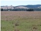 1528 Kilfeera Road, Molyullah, Benalla VIC 3672