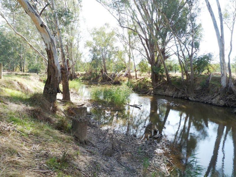 13 Goulding Close, Benalla VIC 3672