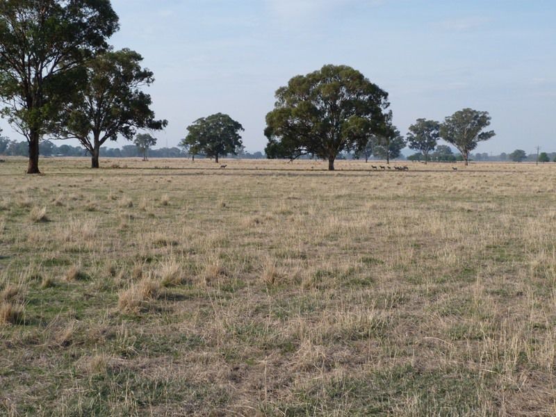 130 Yarrawonga Road, Benalla VIC 3672