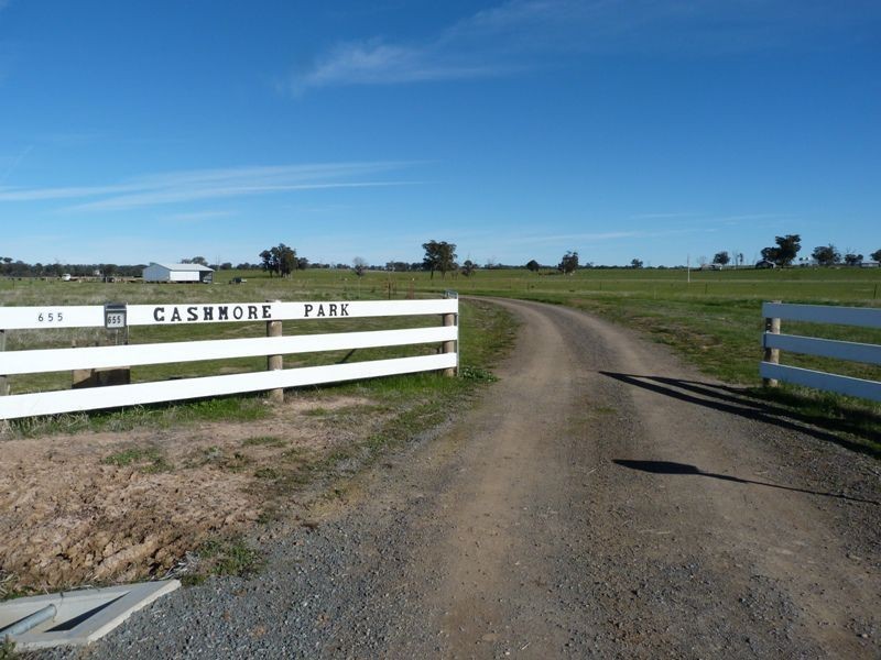 655 Kelleher Road, Tarnook, Benalla VIC 3672