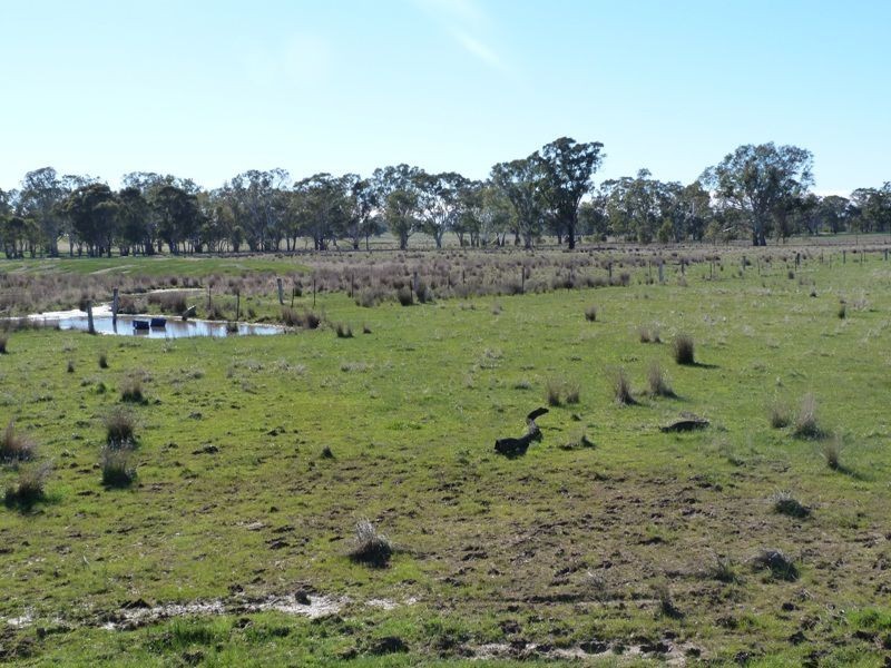 655 Kelleher Road, Tarnook, Benalla VIC 3672