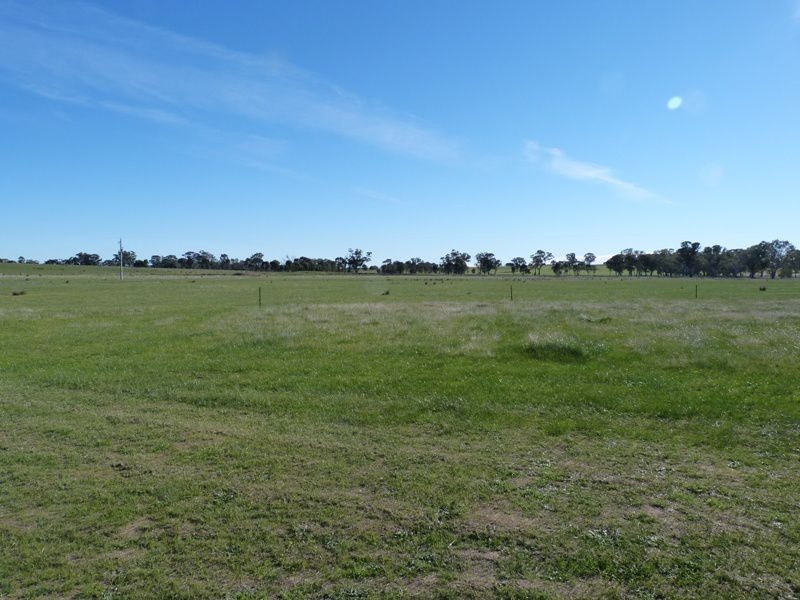 655 Kelleher Road, Tarnook, Benalla VIC 3672