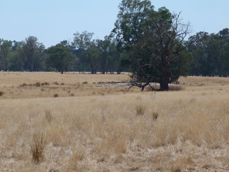 62 Swanpool Warrenbayne Road, Benalla VIC 3672