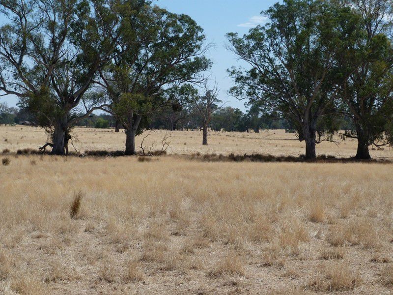 62 Swanpool Warrenbayne Road, Benalla VIC 3672