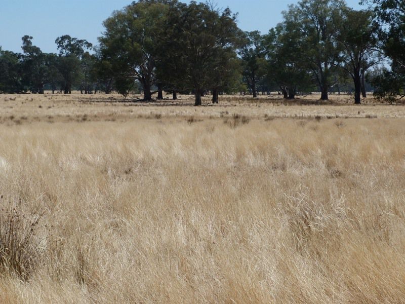 62 Swanpool Warrenbayne Road, Benalla VIC 3672