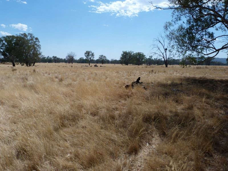 62 Swanpool Warrenbayne Road, Benalla VIC 3672