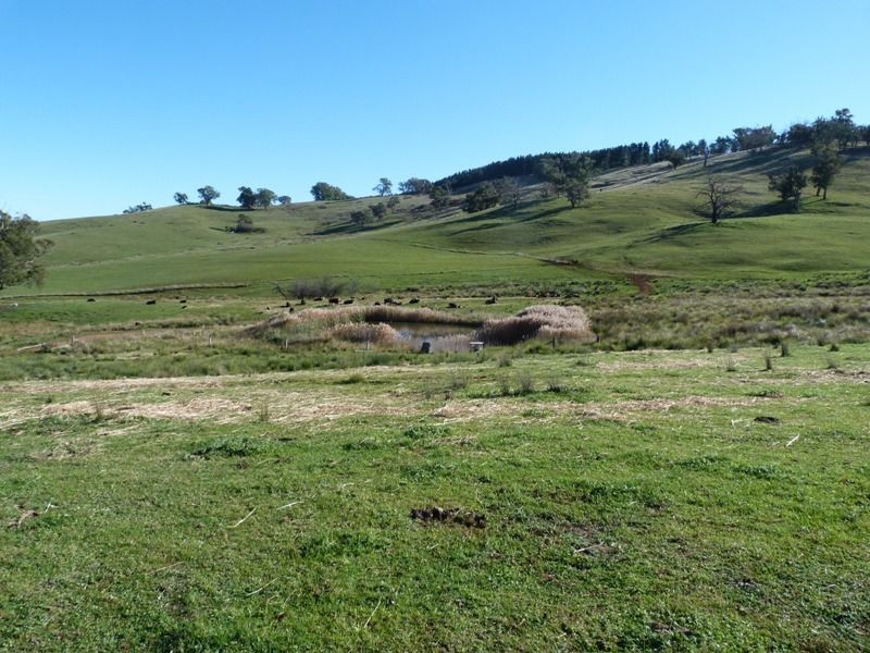 138 Sawyer Road, Samaria, Benalla VIC 3672