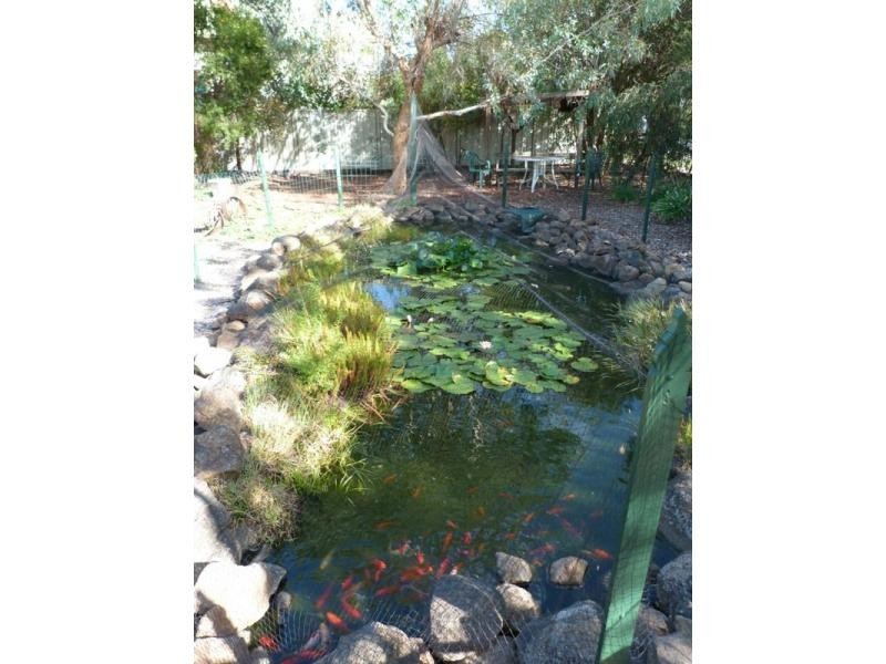 2 Hyacinth Street, Violet Town VIC 3669