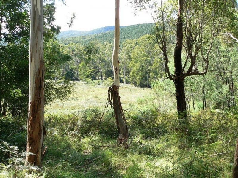 1420 Tatong Tolmie Road, Tatong, Benalla VIC 3672