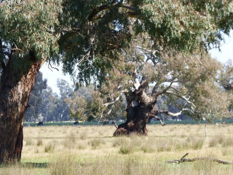 L2 MIDLAND Highway, STEWARTON, Benalla VIC 3672