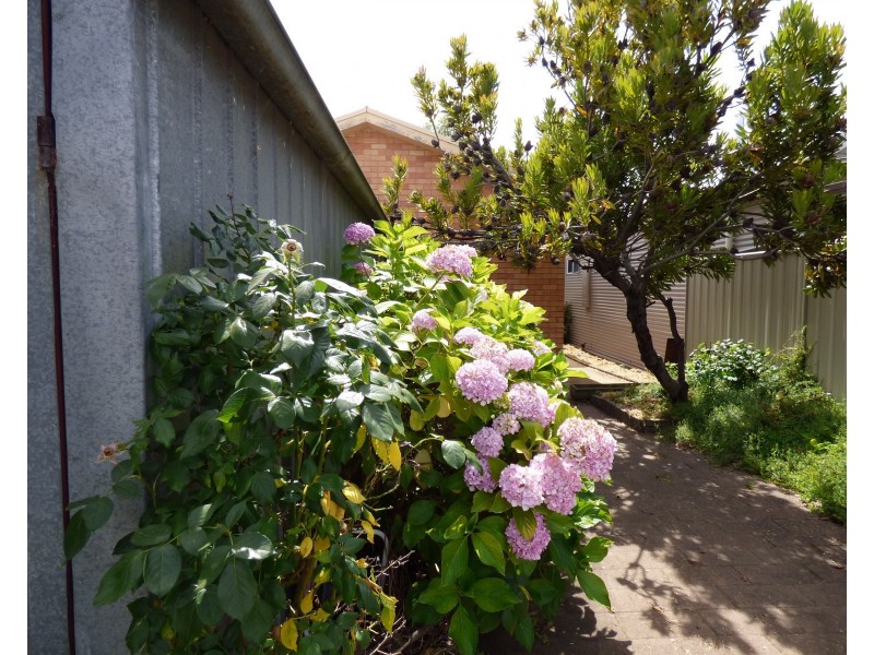 20 Carrier Street, Benalla VIC 3672