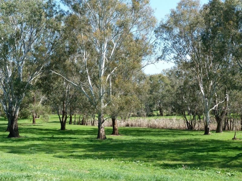 5 Psaltis Parade, Benalla VIC 3672