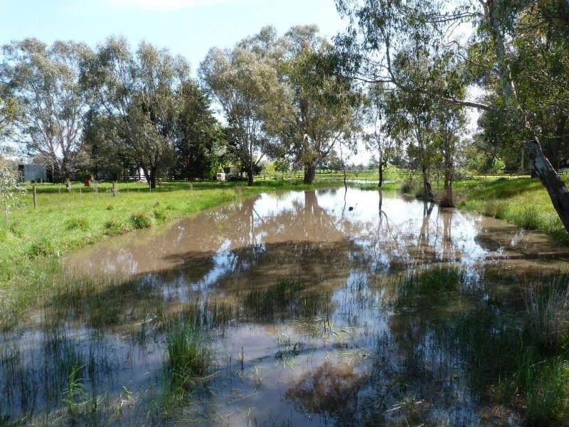 321 Kealy Road, Benalla VIC 3672