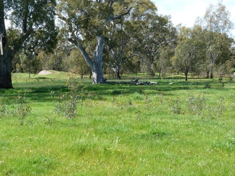 321 Kealy Road, Benalla VIC 3672