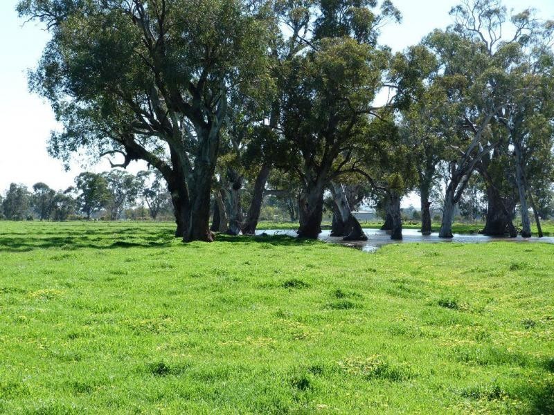 5770 Midland Highway, Benalla VIC 3672