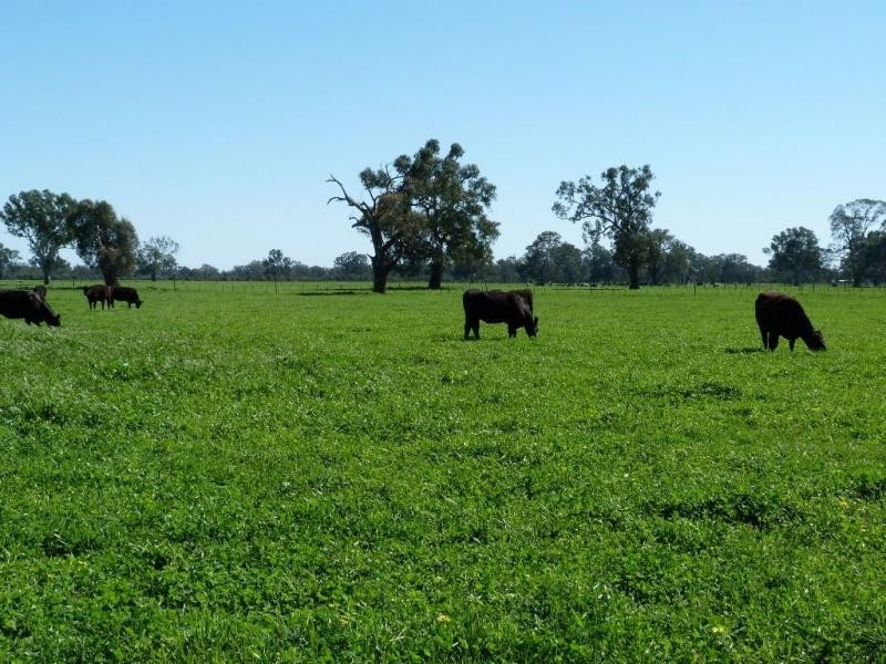 5770 Midland Highway, Benalla VIC 3672