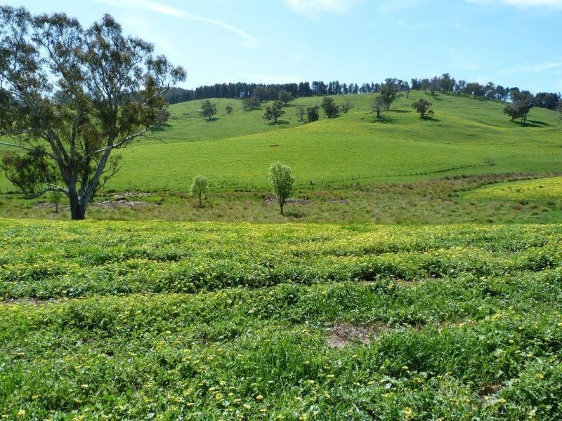 138 Sawyer Road, Samaria, Benalla VIC 3672