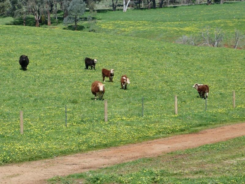 138 Sawyer Road, Samaria, Benalla VIC 3672