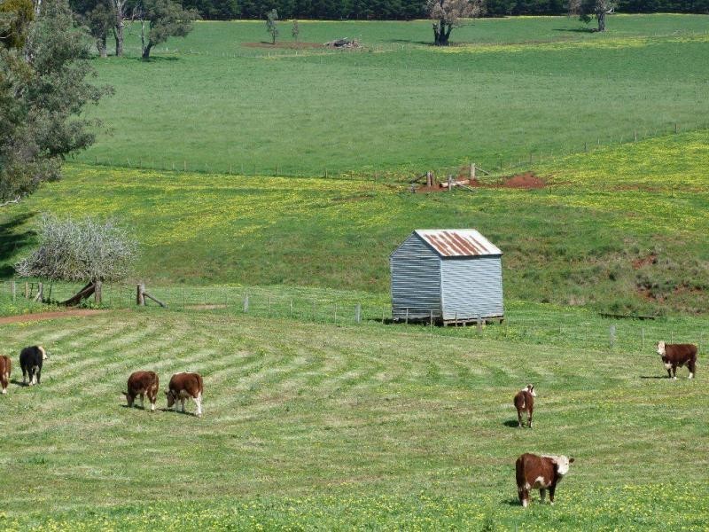 138 Sawyer Road, Samaria, Benalla VIC 3672