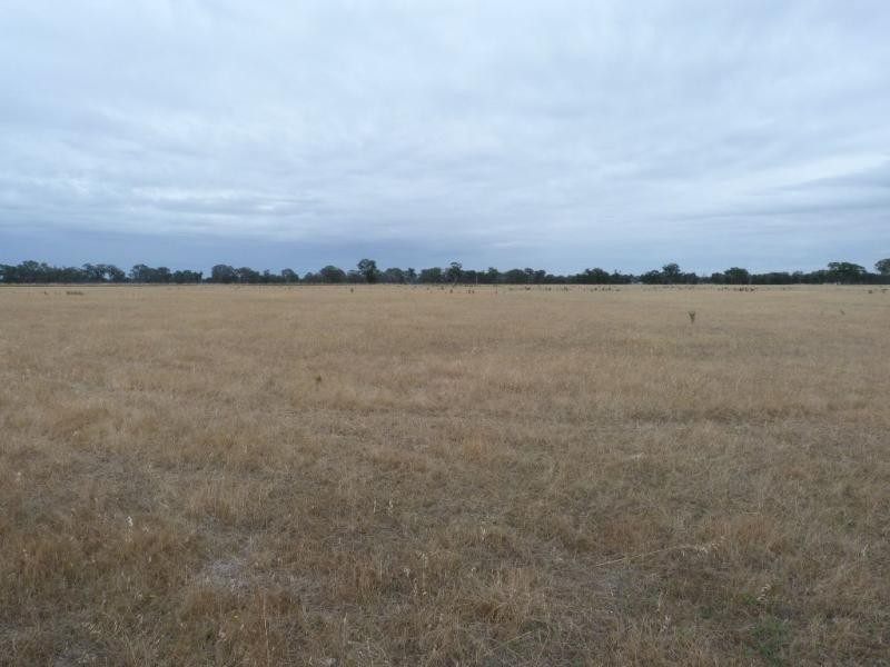 00 Link Road, Benalla VIC 3672