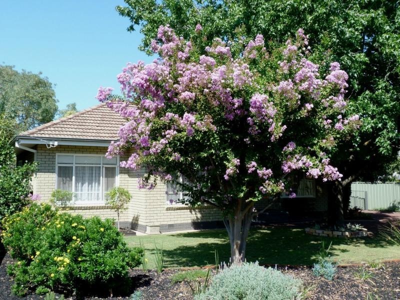 10 Melrose Street, Benalla VIC 3672