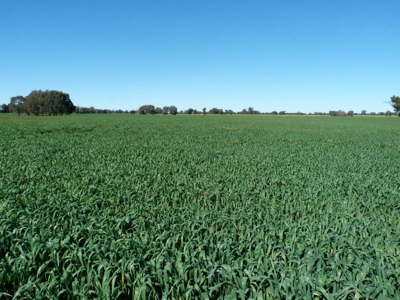 2547 Benalla Tocumwall Road, Yundool VIC 3727