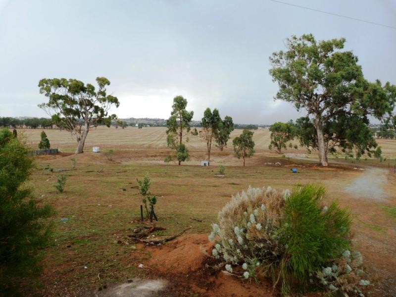 31 Martins Road, Bungeet VIC 3726