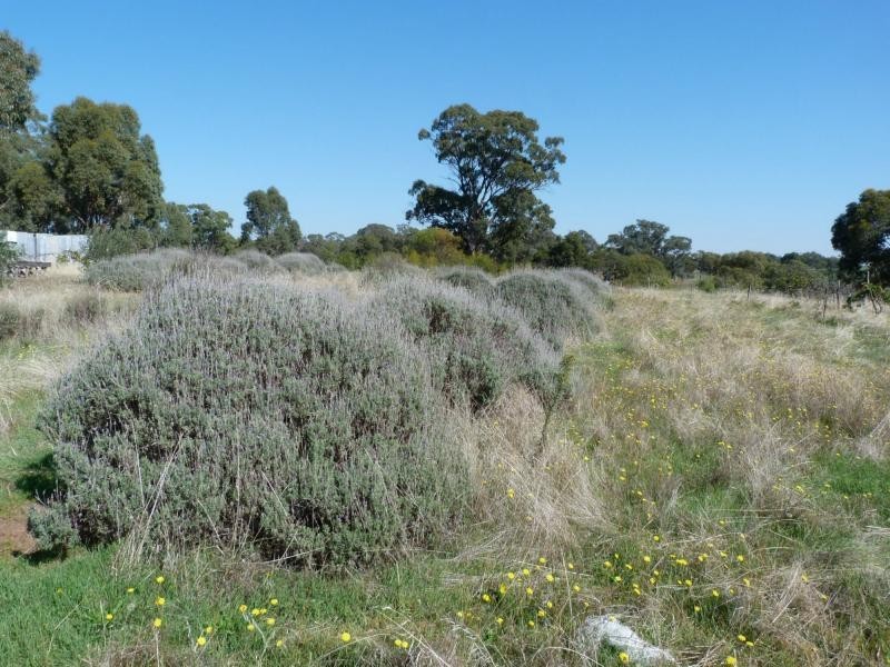 L48C Groats Road, Goorambat, Benalla VIC 3672