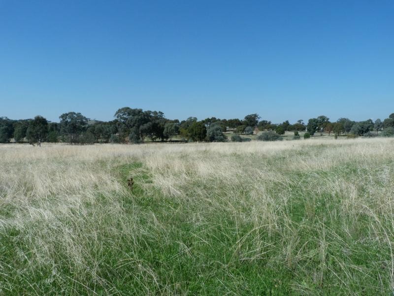 L48C Groats Road, Goorambat, Benalla VIC 3672