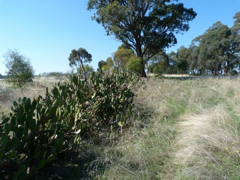 L48C Groats Road, Goorambat, Benalla VIC 3672