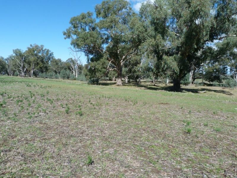 449 Roach’s Road, Warrenbayne VIC 3670