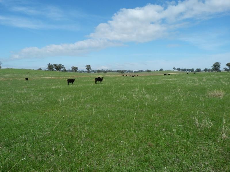 CA 32 Lamont Road, Tarnook, Benalla VIC 3672